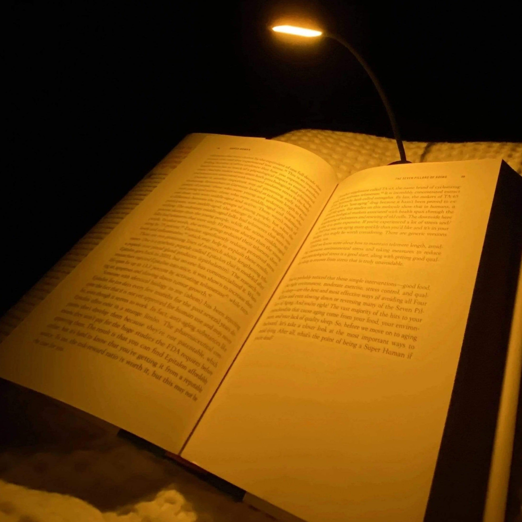 Best book light for deals night reading